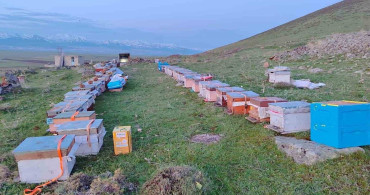 Karadeniz'in Gezgin Arıcıları Doğu Anadolu'ya Yola Çıktı