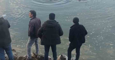 Karakoçan'da Baraj Gölüne Düşen Otomobilin Sürücüsü Kurtarıldı