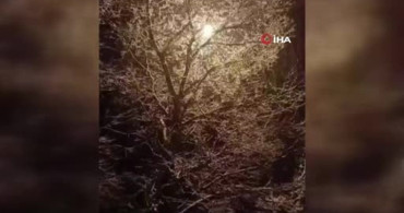 Karakoçan'da Kartpostallık Kar Manzaraları