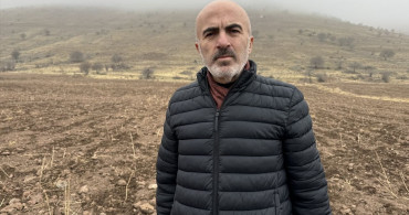 Karaman'da Yaban Domuzları Tarım Alanlarına Zarar Veriyor