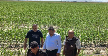 Karapınar'da dolu afetinin etkilediği alanlarda inceleme