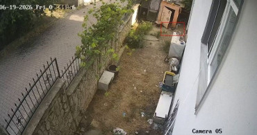 Karganın yumurta hırsızlığı güvenlik kamerasında görüntülendi