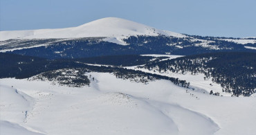Kars'ta Kar Manzaraları