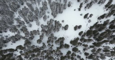 Kars'ta Kar Yağışı Doğayı Beyaza Büründürdü