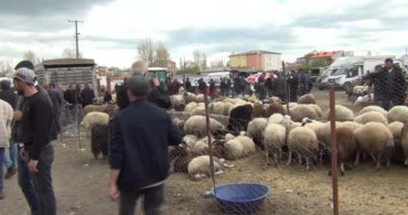 Kars'ta Kurban Pazarı Hareketlendi