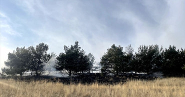 Kars'ta Orman Yangını: 1,5 Hektar Alan Zarar Gördü