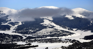 Kars'ta Sarıçam Ormanları Karla Kaplandı