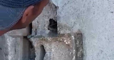 Kars'ta usta, duvarı kırarak kuş yavrularını kurtardı