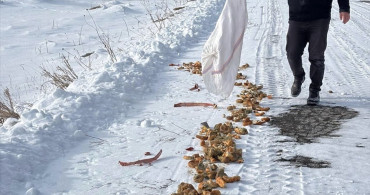 Kars'ta Yaban Hayvanları İçin Yoğun Kar Yağışında Gıda Desteği