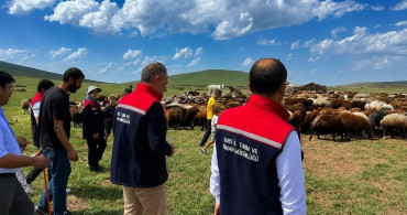 Kars'ta yaylalarda hayvancılığa yakın takip