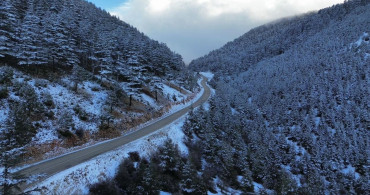 Kaş'ta Kış Manzarası: Karla Kaplı Ormanlık Alan