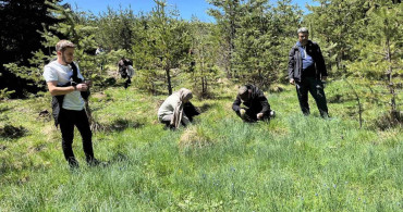 Kastamonu'da 19 Mayıs Coşkusu: Gençler İntaş Mağarası’nda Yürüyüş Yaptı
