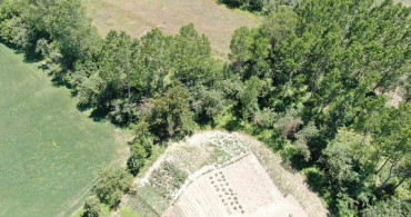 Kastamonu'da ayı nedeniyle köylere fotokapan kuruldu