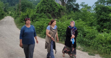 Kastamonu'da ayılar gündüzleri yerleşim yerlerine inmeye başladı! Mahalle sakinleri tedirgin