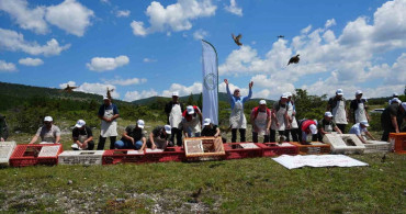 Kastamonu'da doğaya bin 200 kınalı keklik salındı