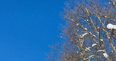 Kastamonu'da Dronla İlaç Ulaştırma Operasyonu
