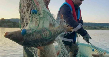 Kastamonu'da Hayalet Ağlar Ele Geçirildi: 200 Kilogram Sazan Kurtarıldı