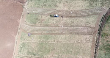 Kastamonu'da kadın emekçiler sıcak altında sarımsak hasadı yapıyor