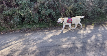 Kastamonu'da Kayıp Anne ve Oğul İçin Arama Çalışmaları Devam Ediyor