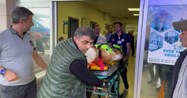 Kastamonu'da Mantar Toplayan İmama Ayı Saldırısı