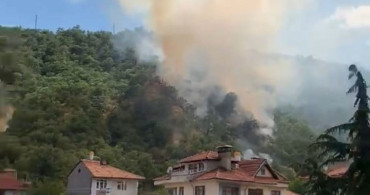 Kastamonu'da orman yangını 40 dönümlük alanı etkiledi