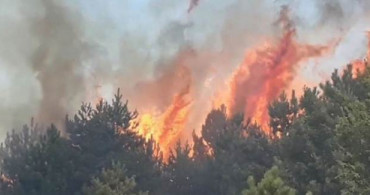 Kastamonu'da Orman Yangını