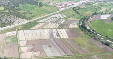 Kastamonu'da Sarıkılçık Çeltiği Ekimi Başladı