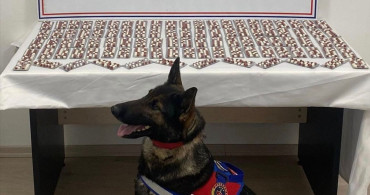 Kastamonu'da Uyuşturucu Operasyonu: 1344 Hap Ele Geçirildi