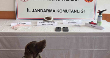 Kastamonu'da Uyuşturucu Operasyonu: 3 Tutuklama Gerçekleşti