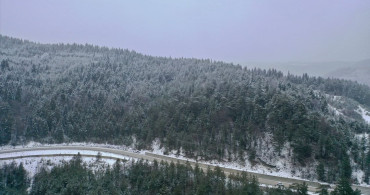 Kastamonu'nun Yüksek Kesimlerinde Kar Yağışı ve Sis Etkili Oluyor