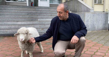 Kavak Adliyesi'nde Sevimli Maskot: Kuzu Tertip