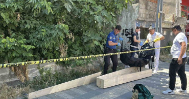 Kaybolan kedisini arayan vatandaş, ceset buldu
