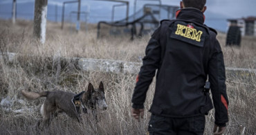 Kayıp Şahısların Kurtarıcısı: Kadavra Köpeği Melo