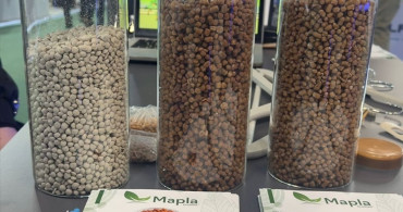 Kayısı Çekirdeğinden Biyomalzeme Üreten Türk Girişimcinin Paris'teki Başarısı