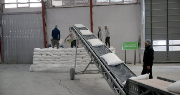 Kayseri Şeker'den Organik Şeker Üretimi: Türkiye'de Bir İlk