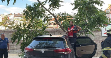 Kayseri'de ağaç, aracın üzerine devrildi
