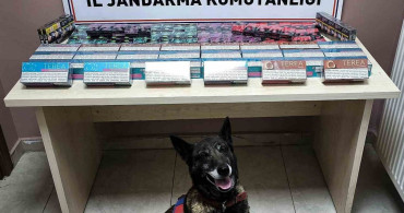 Kayseri'de Kaçak Sigara ve Elektronik Sigara Kartuşu Ele Geçirildi