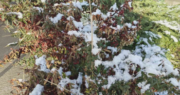 Kayseri'de Nisan Ayında Kar Sürprizi