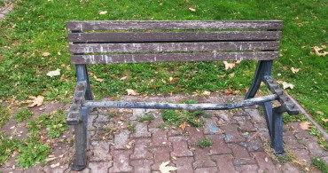 Kayseri'de Park ve Bahçelere Zarar Verenler Kamerada