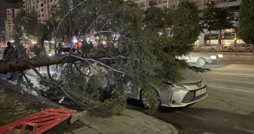 Kayseri'de Rüzgarın Devrip Yıktığı Ağaç Otomobile Zarar Verdi