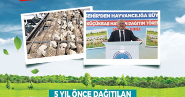 Kayseri'de Sürdürülebilir Hayvancılık Projesi ile 150 Bin Küçükbaş Artışı