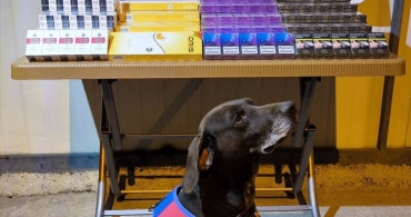 Kayseri'de Tırda Bandrolsüz Kaçak Sigara Operasyonu