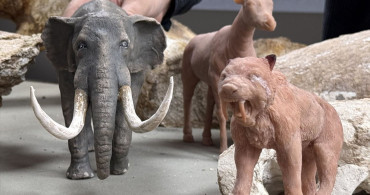 Kayseri'deki Dev Hayvan Fosillerinin Minyatürleri Yapılıyor