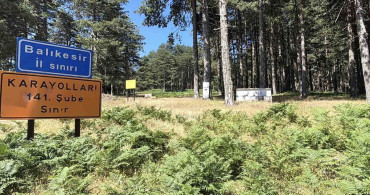 Kazdağları'nda ilkbahar sonrası yazın görsel şöleni