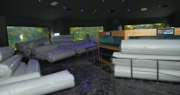 Keçiören'de Timsahların Ölümü ve Deniz Dünyası Tesisinin Durumu