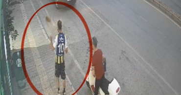 Kediye tekme atan kişinin görüntüleri güvenlik kamerasında
