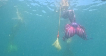 Kemer'de Deniz Kızlarıyla Denizde Temizlik Etkinliği
