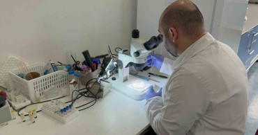 Kenelerin Taşıdığı Tehditler: KKKA ve Diğer Hastalıklar