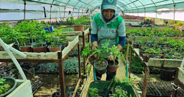 Kepez Belediyesi’nin bitki ve fidan üretim tesisi: yeşil dokunun mimarları