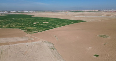 Kerkük'te Türkmen Çiftçilerden Arazi Geri İade Gösterisi